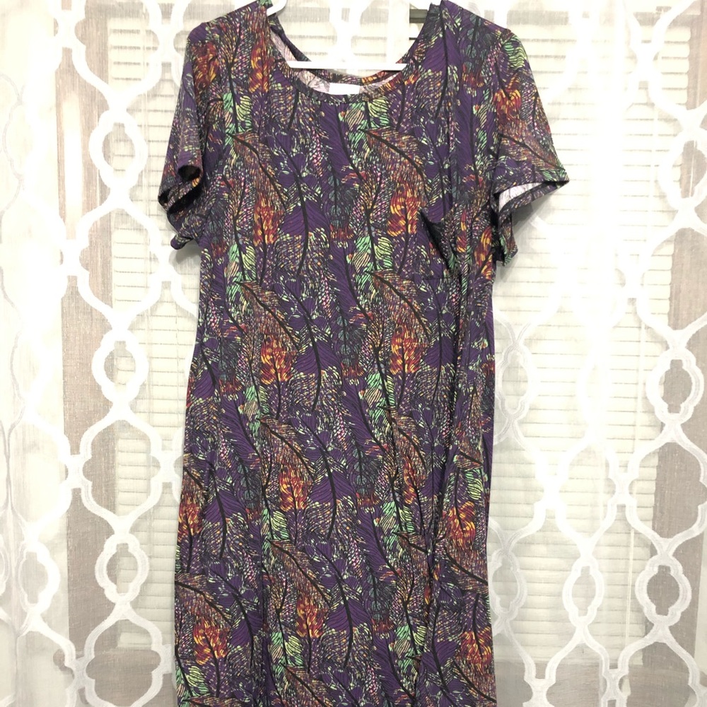 LuLaRoe Carly XL
